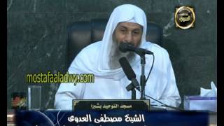 تفسير سورة الحجر (2) من الآية السادسة عشر الي الآية الثانية والعشرون