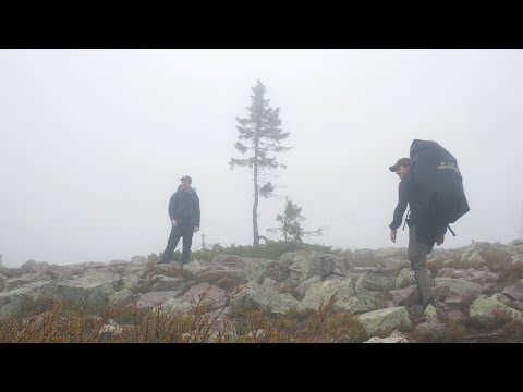 Fall Hiking in the Fog of Fulufjället National Park Sweden