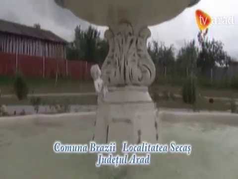 LOCALITATEA SECAS - COMUNA BRAZII JUDETUL ARAD - Video 0703 1756CH 30
