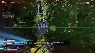 APEX 参加型　概要欄参照