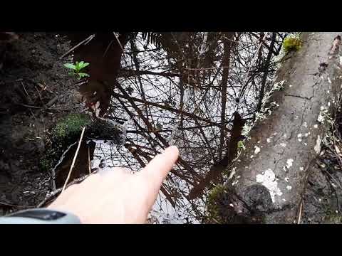 Simple Seep Spring Setup