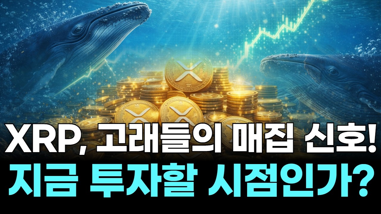 XRP, 고래들의 매집 신호! 지금 투자할 시점인가?