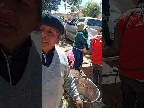 FIESTA PATRONAL DEL CONFIN AURIFERO DE LA PATRIA RINCONADA JUJUY ARGENTINA 2026 