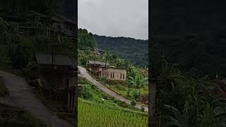 Download lagu Villa Farfalla lilly pamijahan bogor,view after rain 😍 mp3