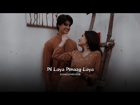 Dil Laya Dimaag Laya (slowed+reverb)