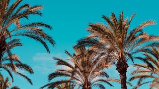 Download lagu STORY WA LAGU BARAT KEREN || STORY WA LAGU BARAT TERBARU 2020 mp3