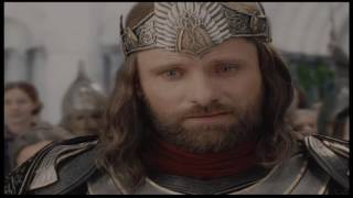 A Tribute to the Art of Film