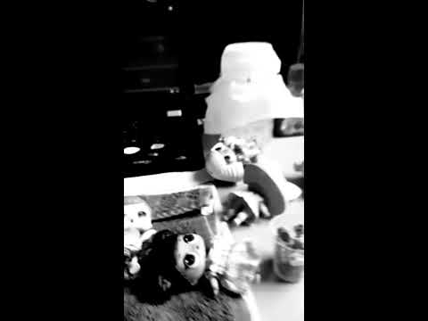 LOL dolls time out part 2 Ep4 (1919)