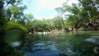 preview picture of video 'GoPro | Blue Springs State Park in Orange City, FL'