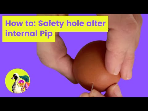 How to: Safety air hole in EGG.