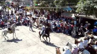 preview picture of video 'Dancing horses:  Sayulita, Feb. 2009'