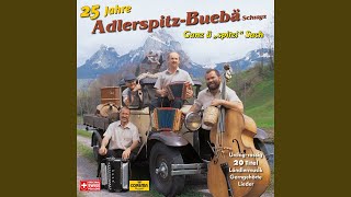 Im grünen Wald, da wo die Drossel singt (feat. Heinz Hess, Röbi Muheim)