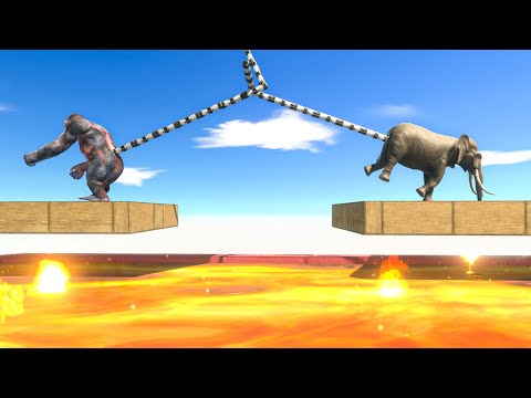 Tug of War over Lava - Animal Revolt Battle Simulator