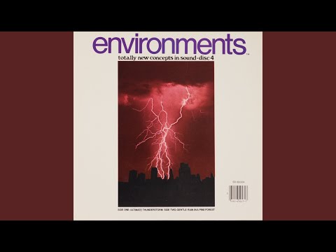 Gentle Rain in a Pine Forest