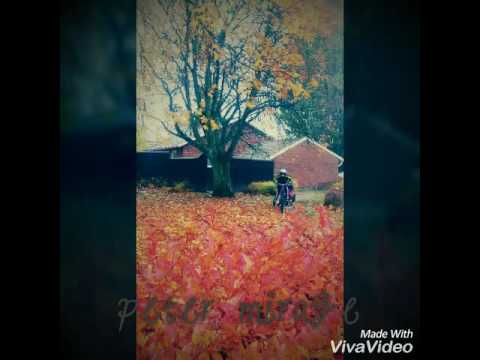 Nossebro 2016 10 30 abdul &  talin 05364944622