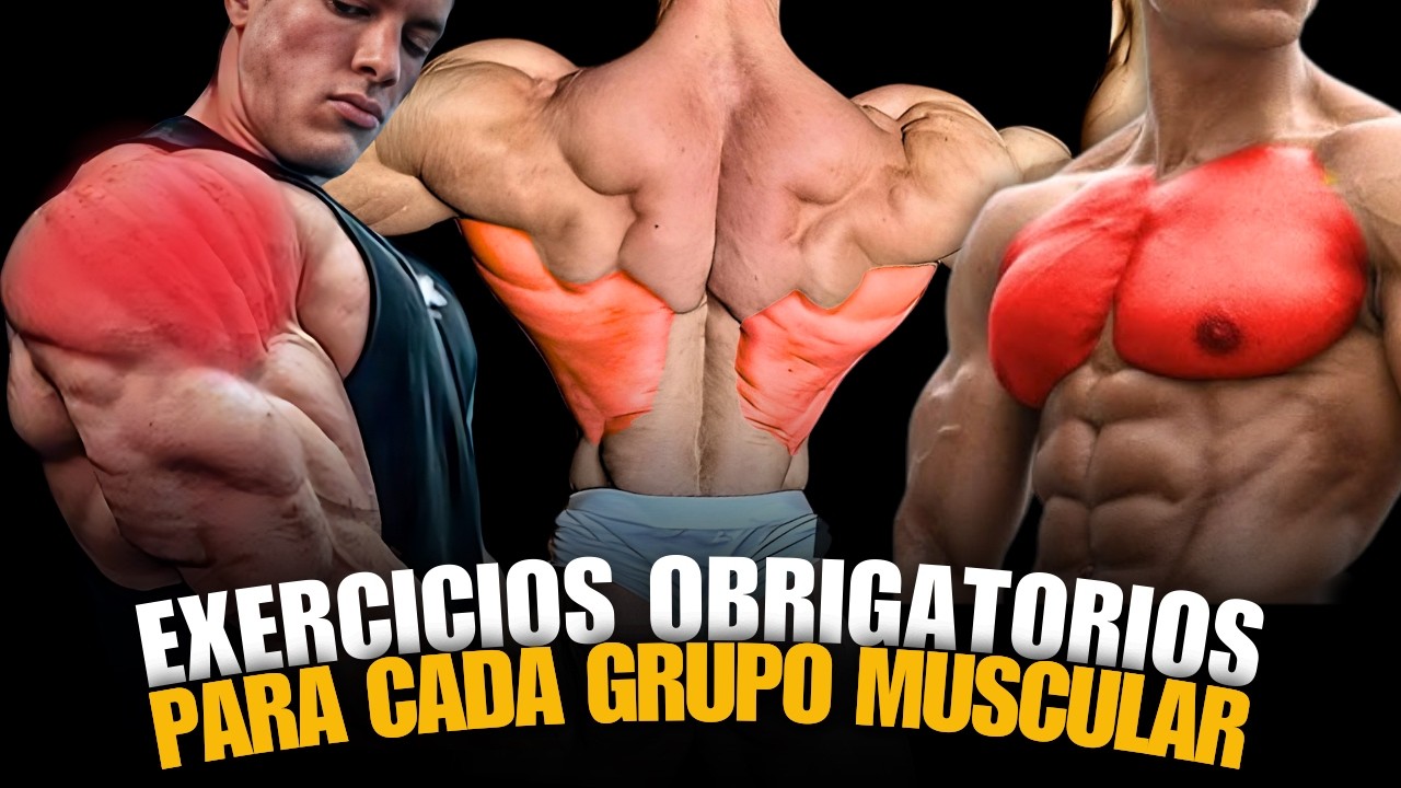 The ONLY 2 EXERCISES YOU NEED for each MUSCLE GROUP!