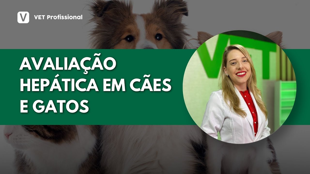 Exame Bioquímico: Avaliação Hepática em Cães e Gatos