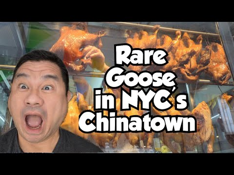 NYC’s First Taishanese Restaurant—What’s the Hype About Yuanzaibing?