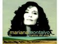 Tu Color Café - Mariana Montalvo 