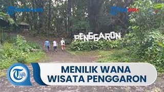 Menilik Wana Wisata Penggaron adalah Hutan Wisata yang Berada di Ungaran, Semarang