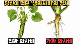 생와사비의 배신! 당신이 먹은건 와사비가 아닙니다
