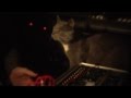 Steve Adey - The Tower of Silence - Album Trailer