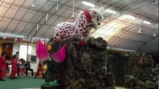 preview picture of video 'Singapore Lion Dance Competition.MOV'