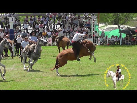 Programa Nº 695 Club Atletico Sumampa Satiago del Estero  #caballos #jinete #charreada #jaripeo