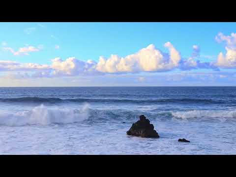 Frumoasa muzica de relaxare. Sunet de valuri si pescaruși