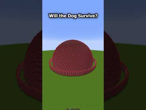 Minecraft Dog vs 99999 TNT...😱