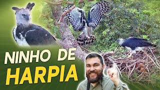Miniatura do vídeo