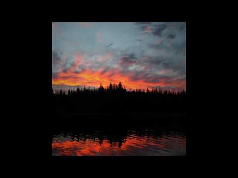 Federsen - Echo relics (Album, 2011) (Dub techno)