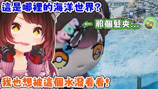 蘿蔔子想去海洋世界看表演被水潑濕，然而聊天室的注意力都在娃娃的PON髮夾上．．．。蘿蔔子：那個髮夾真的很可愛，PON得很可愛。【蘿蔔子/ロボ子/ROBOCO】【HOLOLIVE中文】