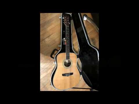 FANTASTIC UBER RARE FENIX D-83SR TURQUOISE ACOUSTIC GUITAR WINNIPEG RECORDING ROSEWOOD FLIGHT CASE