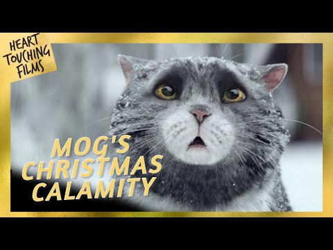 Mog’s Christmas Calamity 🌟🌲This Animation Will Warm Your Heart