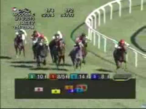 2013 Natalma Stakes - Llanarmon