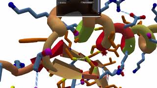 Disulfide Bonds