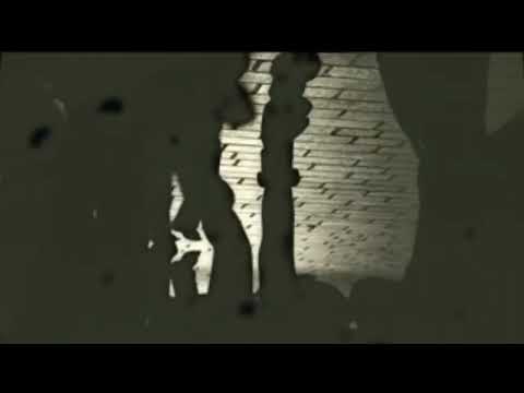 The Vejtables~ Shadows