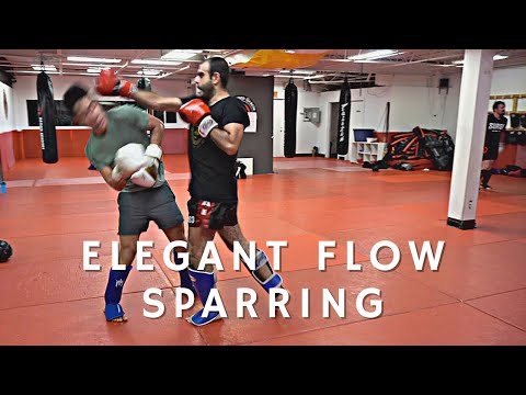 The Most Elegant Flow Sparring