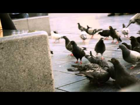 Quake Matthews - You Ain't Me (Prod.Chris Noxx)