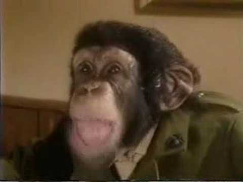 Monkey-ed Movie: A Few Good Men