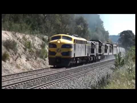 El Zorro grain train up Warrenheip Bank.