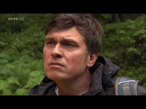 X:enius: Laubbaum Killer: Was tun gegen den Asiatischen Laubholzbockkäfer? Doku (2014)