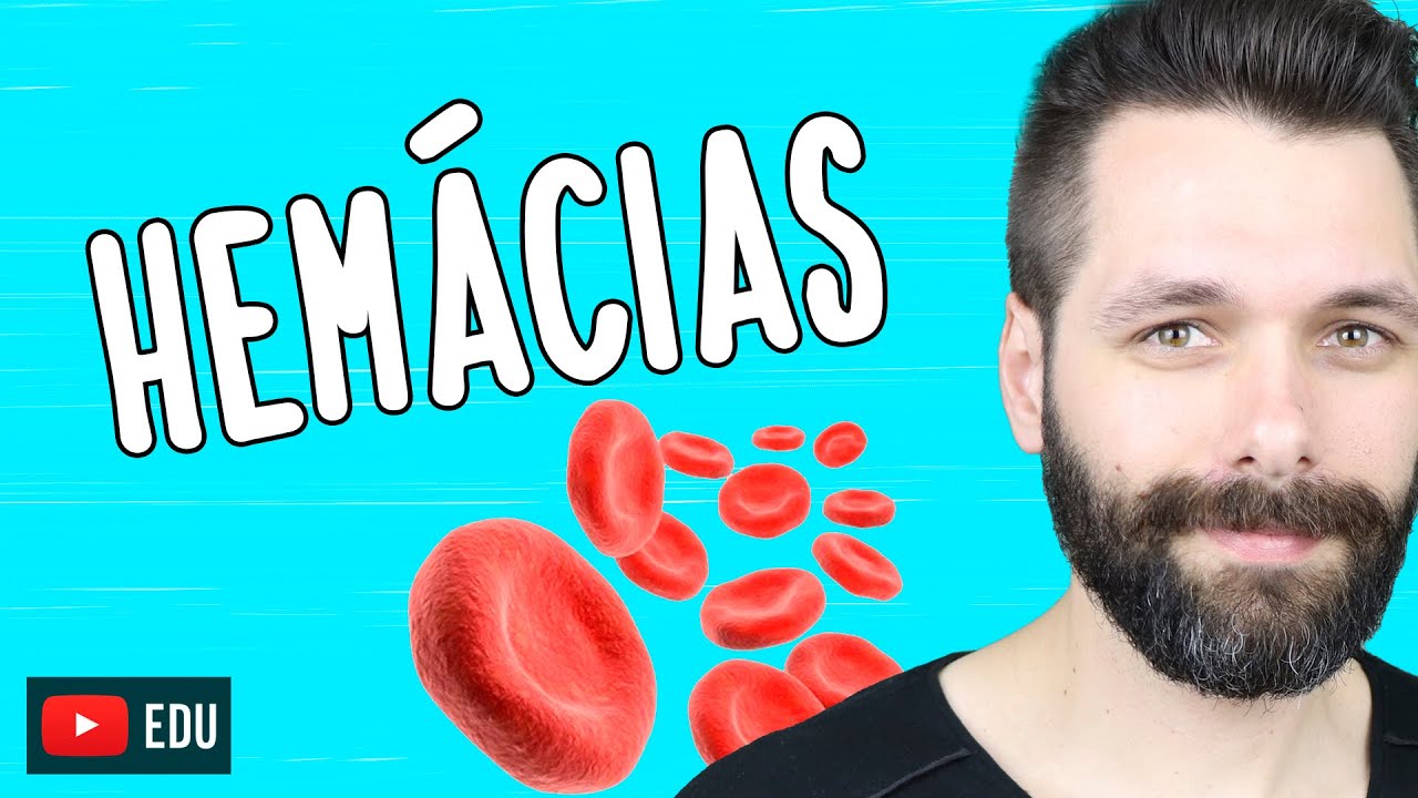 HEMÁCIAS - Globulos vermelhos ou Eritrócitos | Biologia com Samuel Cunha