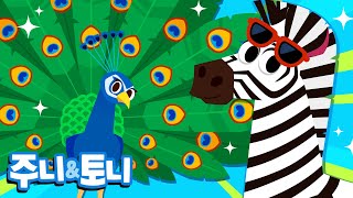 동물 무늬 패션쇼 | 얼룩덜룩 신기한 동물 무늬 | 동물동요 | 주니토니 by 키즈캐슬