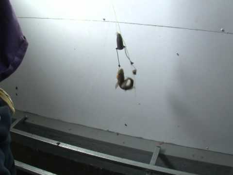 Tiny town boasts world-class ice fishing