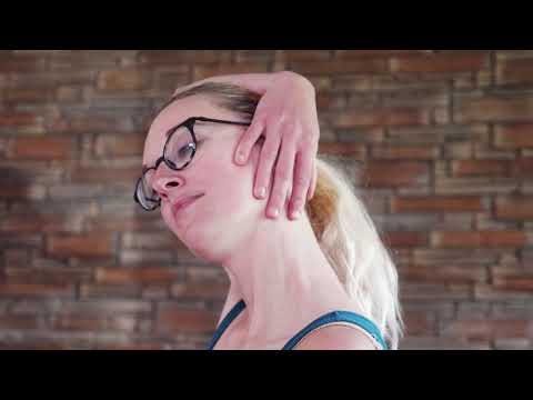 Live ab 6 /// Was bewegt Dich? - die Schildkröte