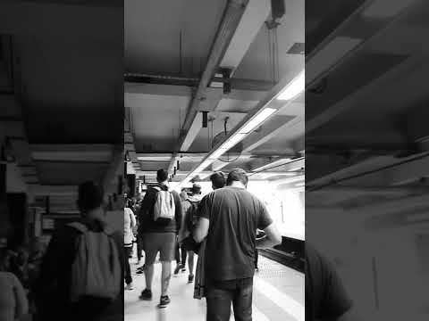 La Ciudad de los Encandilados (fragmento - no oficial)