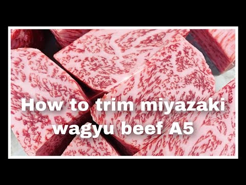 Rare Miyazaki Wagyu A5 - Mt fuji Japanese Steakhouse