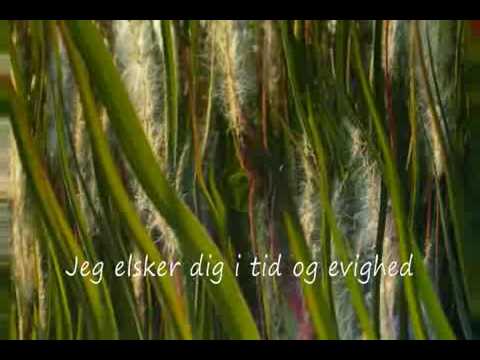 Karl-Magnus Fredriksson sings Jeg elsker dig - I love you